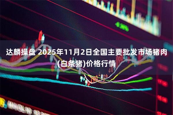 达麟操盘 2025年11月2日全国主要批发市场猪肉(白条猪)价格行情