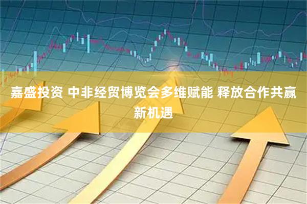 嘉盛投资 中非经贸博览会多维赋能 释放合作共赢新机遇