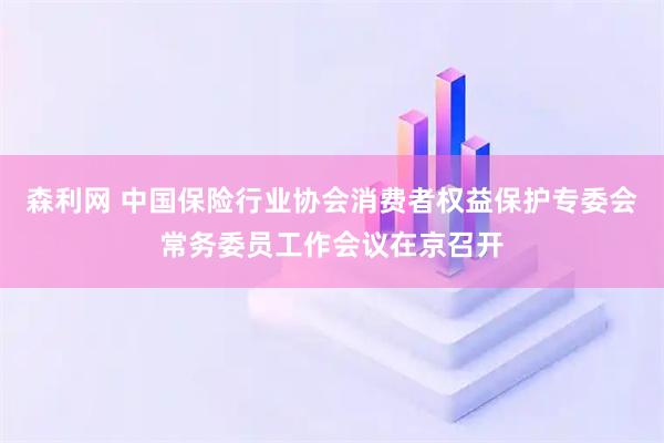 森利网 中国保险行业协会消费者权益保护专委会常务委员工作会议在京召开