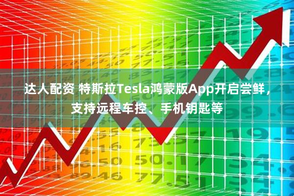 达人配资 特斯拉Tesla鸿蒙版App开启尝鲜，支持远程车控、手机钥匙等