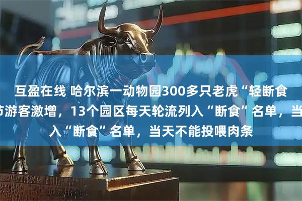 互盈在线 哈尔滨一动物园300多只老虎“轻断食”，“对冲”春节游客激增，13个园区每天轮流列入“断食”名单，当天不能投喂肉条