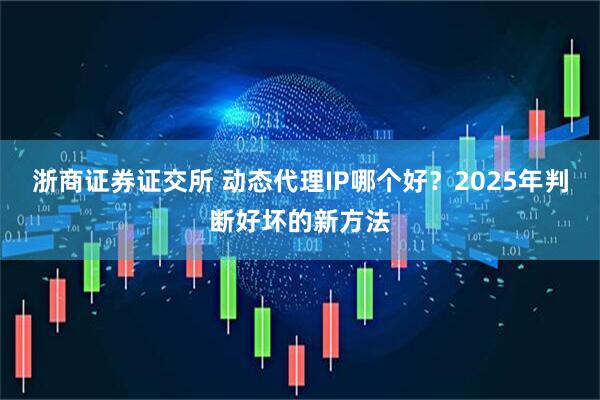 浙商证券证交所 动态代理IP哪个好？2025年判断好坏的新方法